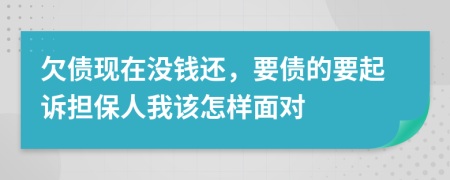 欠债现在没钱还，要债的要起诉担保人我该怎样面对