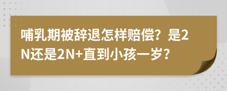 哺乳期被辞退怎样赔偿？是2N还是2N+直到小孩一岁？