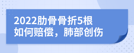 2022肋骨骨折5根如何赔偿，肺部创伤