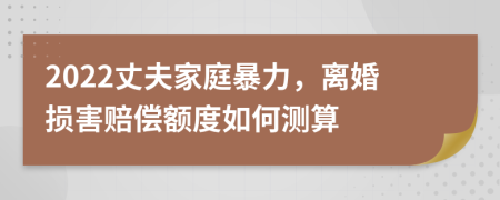 2022丈夫家庭暴力，离婚损害赔偿额度如何测算