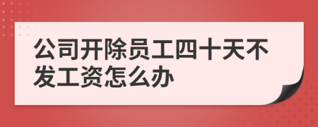 公司开除员工四十天不发工资怎么办