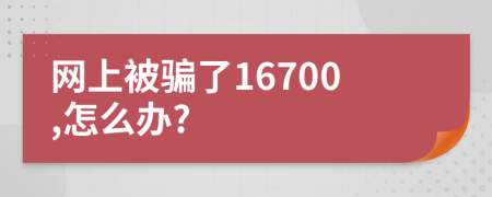 网上被骗了16700,怎么办?