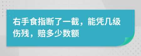 右手食指断了一截，能凭几级伤残，赔多少数额