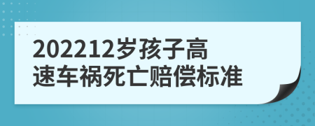 202212岁孩子高速车祸死亡赔偿标准