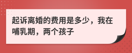 起诉离婚的费用是多少，我在哺乳期，两个孩子