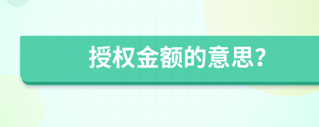 授权金额的意思？