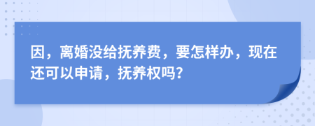 因，离婚没给抚养费，要怎样办，现在还可以申请，抚养权吗？