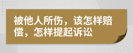 被他人所伤，该怎样赔偿，怎样提起诉讼