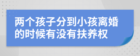 两个孩子分到小孩离婚的时候有没有扶养权