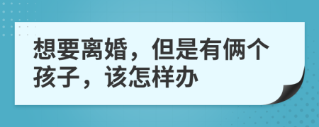 想要离婚，但是有俩个孩子，该怎样办