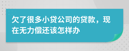 欠了很多小贷公司的贷款，现在无力偿还该怎样办