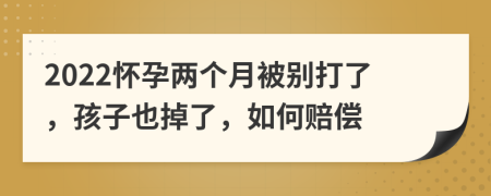 2022怀孕两个月被别打了，孩子也掉了，如何赔偿