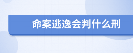 命案逃逸会判什么刑