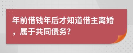 年前借钱年后才知道借主离婚，属于共同债务？