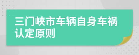 三门峡市车辆自身车祸认定原则
