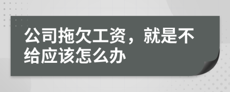 公司拖欠工资，就是不给应该怎么办