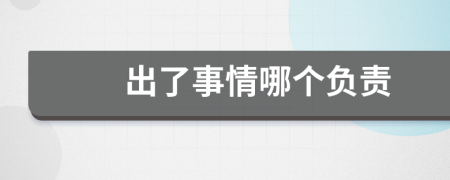 出了事情哪个负责