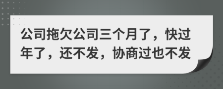 公司拖欠公司三个月了，快过年了，还不发，协商过也不发