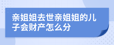 亲姐姐去世亲姐姐的儿子会财产怎么分