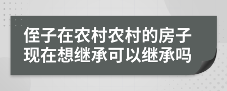 侄子在农村农村的房子现在想继承可以继承吗