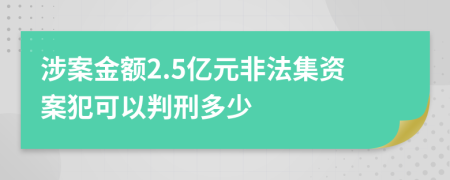 涉案金额2.5亿元非法集资案犯可以判刑多少