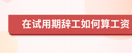 在试用期辞工如何算工资