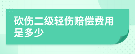 砍伤二级轻伤赔偿费用是多少