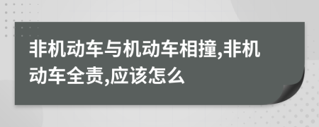 非机动车与机动车相撞,非机动车全责,应该怎么