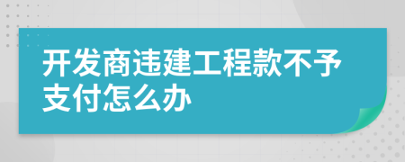 开发商违建工程款不予支付怎么办