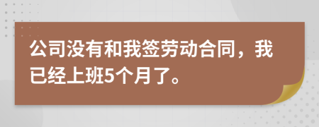 公司没有和我签劳动合同，我已经上班5个月了。