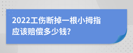 2022工伤断掉一根小拇指应该赔偿多少钱？