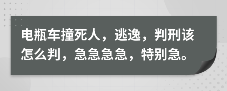 电瓶车撞死人，逃逸，判刑该怎么判，急急急急，特别急。