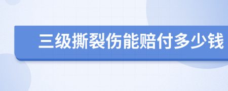 三级撕裂伤能赔付多少钱