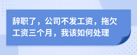 辞职了，公司不发工资，拖欠工资三个月，我该如何处理