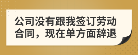 公司没有跟我签订劳动合同，现在单方面辞退