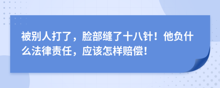 被别人打了，脸部缝了十八针！他负什么法律责任，应该怎样赔偿！