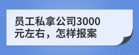 员工私拿公司3000元左右，怎样报案