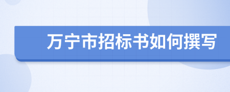 万宁市招标书如何撰写