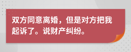 双方同意离婚，但是对方把我起诉了。说财产纠纷。