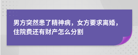 男方突然患了精神病，女方要求离婚，住院费还有财产怎么分割