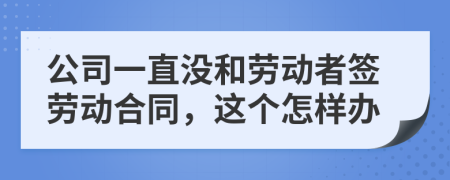 公司一直没和劳动者签劳动合同，这个怎样办