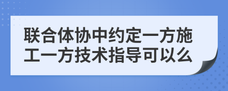 联合体协中约定一方施工一方技术指导可以么