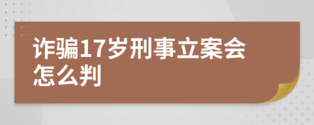 诈骗17岁刑事立案会怎么判