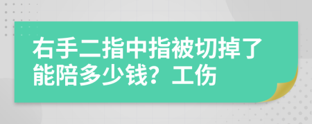 右手二指中指被切掉了能陪多少钱？工伤