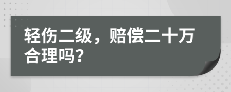 轻伤二级，赔偿二十万合理吗？