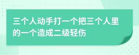 三个人动手打一个把三个人里的一个造成二级轻伤