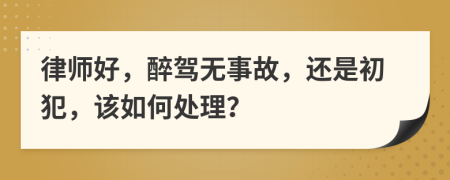 律师好，醉驾无事故，还是初犯，该如何处理？