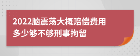 2022脑震荡大概赔偿费用多少够不够刑事拘留