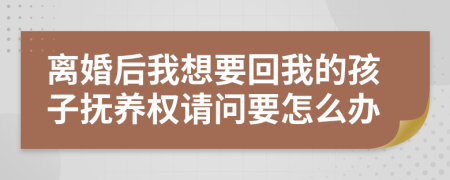 离婚后我想要回我的孩子抚养权请问要怎么办