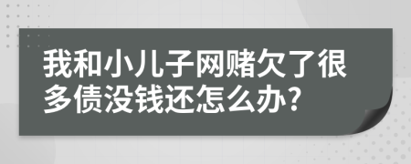 我和小儿子网赌欠了很多债没钱还怎么办?